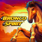 Bronco Spirit